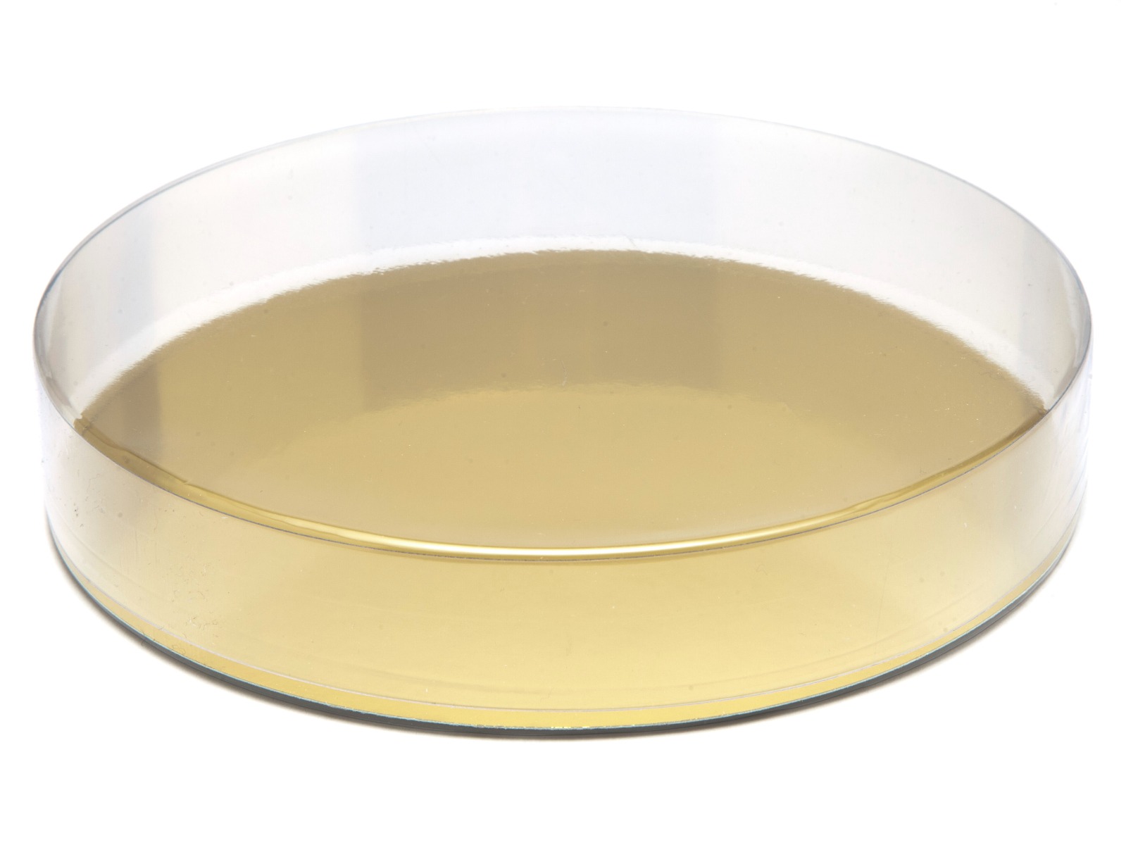 Transparent Round Pack with Gold Base Card ( 160 x 27mm) x 10