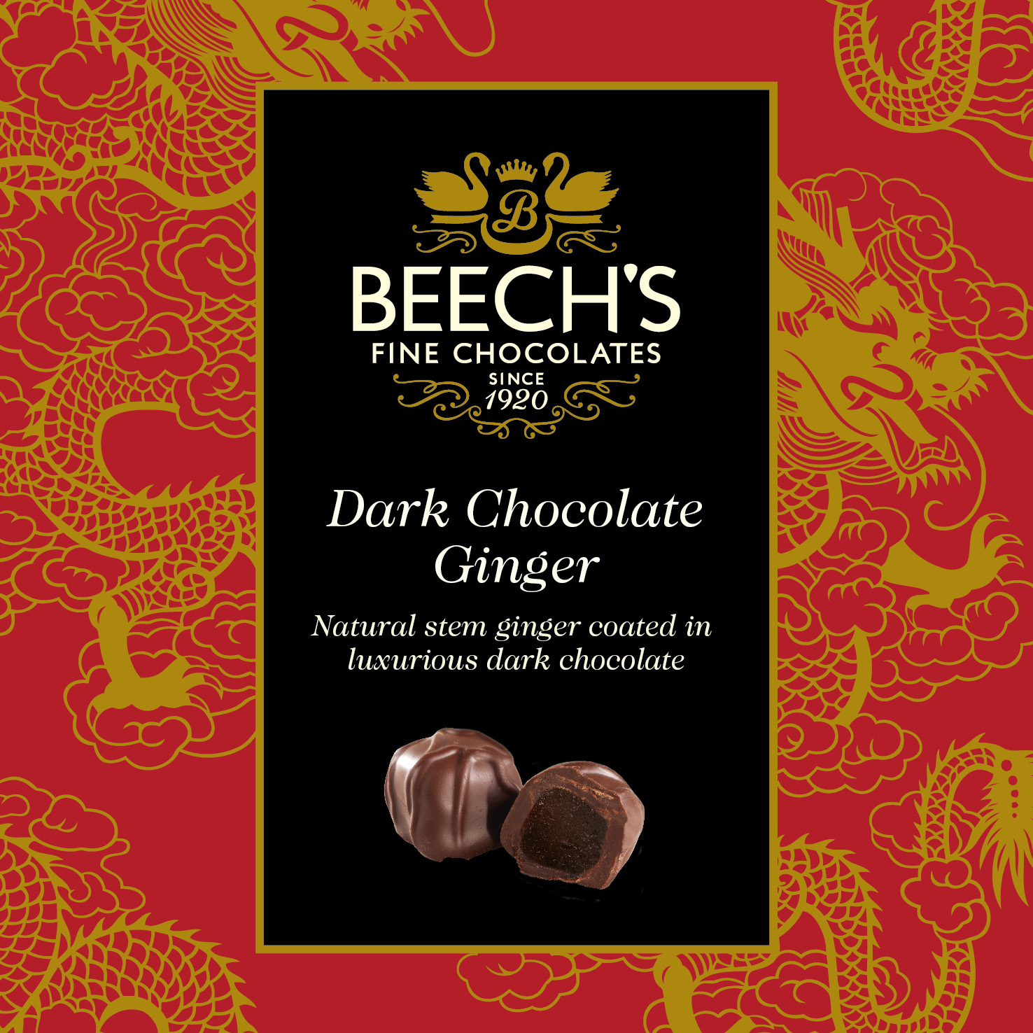 Dark Chocolate Ginger 100g x 12