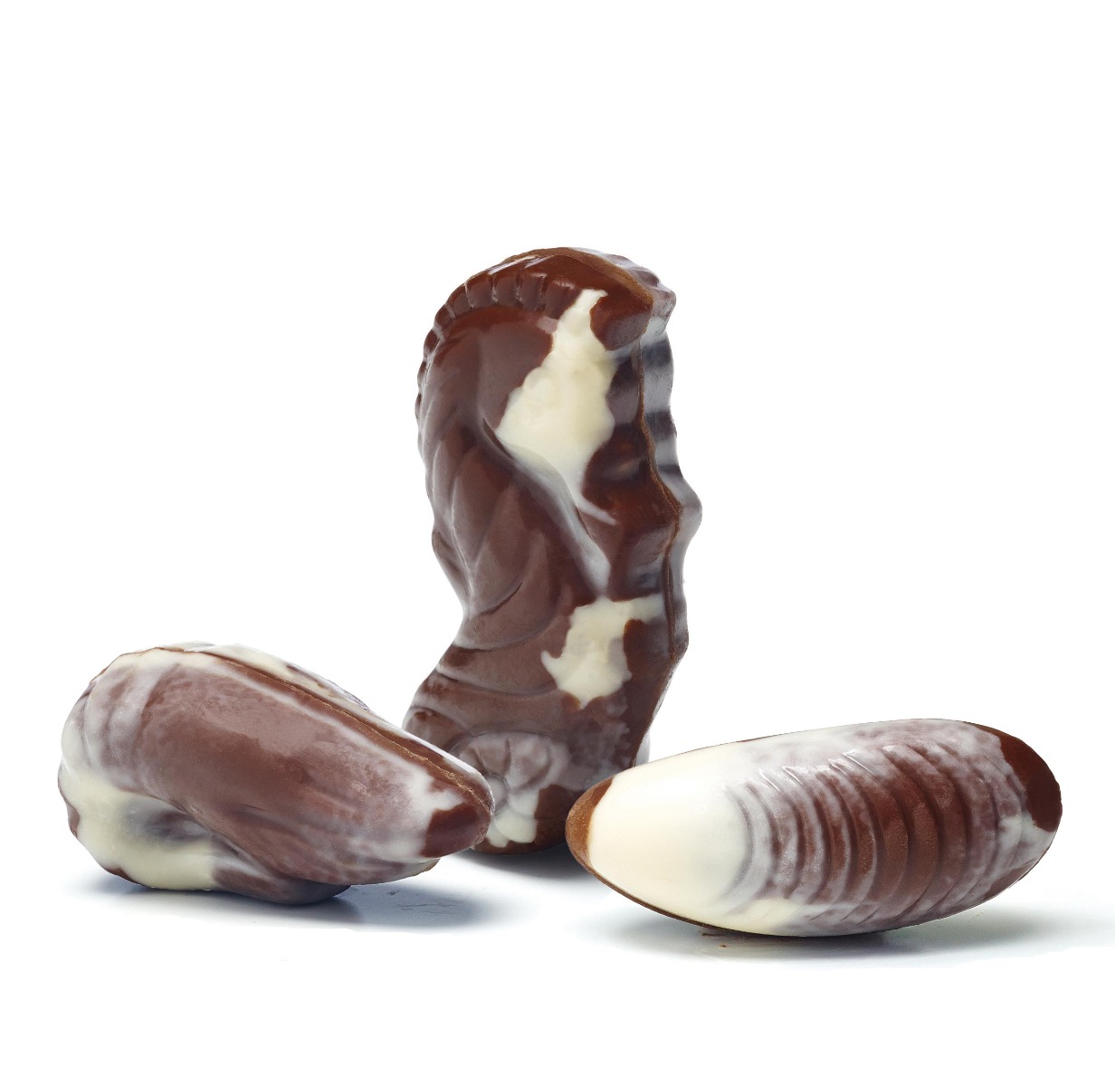 Assorted Praline Seashells x 1.5kg